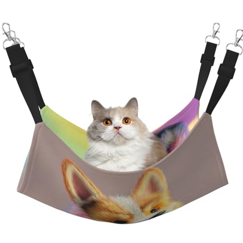 UYHhgqw Regenbogen-Hängematte für Hunde, Samt, Katzenbett, verstellbare Gurte mit Metallhaken, perfekt für kleine Haustiere UYHhgqw Regenbogen-Hängematte für Hunde, Samt, Katzenbett, verstellbare Gurte mit Metallhaken, perfekt für kleine Haustiere von UYHhgqw