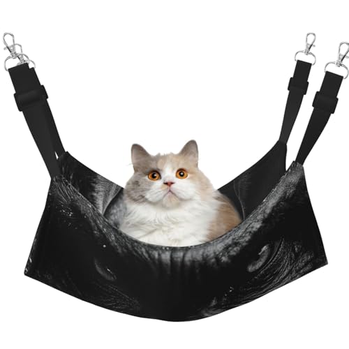 UYHhgqw Save The Gorilla Haustier-Hängematte, Samt-Hängematte für Katzen, verstellbare Gurte mit Metallhaken, perfekt für kleine Haustiere UYHhgqw Save The Gorilla Haustier-Hängematte, Samt-Hängematte für Katzen, verstellbare Gurte mit Metallhaken, perfekt für kleine Haustiere von UYHhgqw