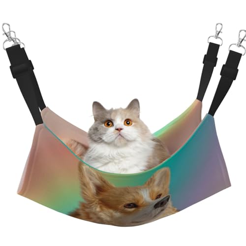 UYHhgqw Süße Hängematte für kleine Hunde, Samt, Katzenbett, verstellbare Gurte mit Metallhaken, perfekt für kleine Haustiere UYHhgqw Süße Hängematte für kleine Hunde, Samt, Katzenbett, verstellbare Gurte mit Metallhaken, perfekt für kleine Haustiere von UYHhgqw