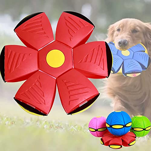 UYOE 2023 Neue Haustier Spielzeug Fliegende Untertasse Ball, Fliegende Untertasse Ball Hund Spielzeug, Haustier Spielzeug Fliegende Untertasse Pet Fliegende Untertasse Ball UYOE 2023 Neue Haustier Spielzeug Fliegende Untertasse Ball, Fliegende Untertasse Ball Hund Spielzeug, Haustier Spielzeug Fliegende Untertasse Pet Fliegende Untertasse Ball von UYOE