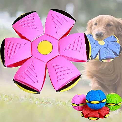 UYOE 2023 Neue Haustier Spielzeug Fliegende Untertasse Ball, Fliegende Untertasse Ball Hund Spielzeug, Haustier Spielzeug Fliegende Untertasse Pet Fliegende Untertasse Ball UYOE 2023 Neue Haustier Spielzeug Fliegende Untertasse Ball, Fliegende Untertasse Ball Hund Spielzeug, Haustier Spielzeug Fliegende Untertasse Pet Fliegende Untertasse Ball von UYOE