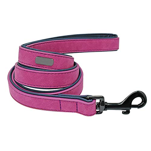 Ausdehnungsseil, Haustier-Rutschseil, Hundeleine, Geschirr, Lederleine, for Hunde, Welpen, Spaziergänge, Laufleinen, Trainingsseil, Gürtel for kleine, mittelgroße und große Hunde, Heimtierbedarf, Lein Ausdehnungsseil, Haustier-Rutschseil, Hundeleine, Geschirr, Lederleine, for Hunde, Welpen, Spaziergänge, Laufleinen, Trainingsseil, Gürtel for kleine, mittelgroße und große Hunde, Heimtierbedarf, Lein von UYUME
