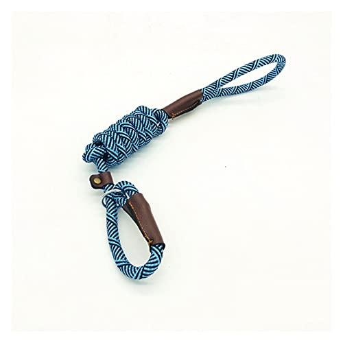 Ausdehnungsseil, Haustier-Schlupfseil, Hundeleine, Heimtierbedarf, Nylon-Traktionsseil, Schaumstoffgriff, weich, bequem, abnehmbar, mit Schnappverschluss, Größe kann angepasst werden, Leinen (Farbe: C Ausdehnungsseil, Haustier-Schlupfseil, Hundeleine, Heimtierbedarf, Nylon-Traktionsseil, Schaumstoffgriff, weich, bequem, abnehmbar, mit Schnappverschluss, Größe kann angepasst werden, Leinen (Farbe: C von UYUME