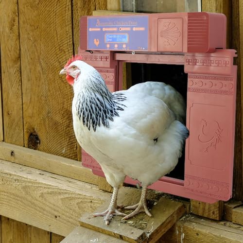 Automatische Hühnerstalltür, Solarbetriebene Automatische Hühnerstalltür, Doppelt Offener Typ, Fernbedienung, Timing, Hühnerstalltür für Enten-Gänsefarm für Hühnerkaninchen von Uadme