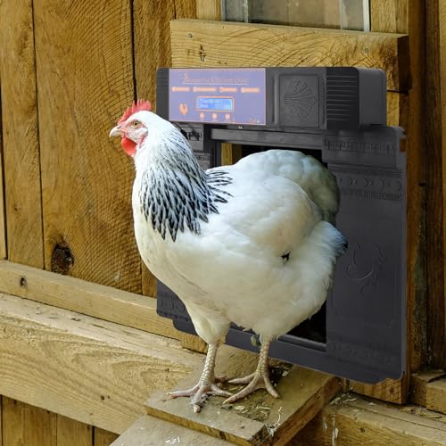 Uadme Automatische Hühnerstalltür, Solarbetriebene Automatische Hühnerstalltür, Doppelt Offener Typ, Fernbedienung, Timing, Hühnerstalltür für Enten-Gänsefarm für Hühnerkaninchen von Uadme