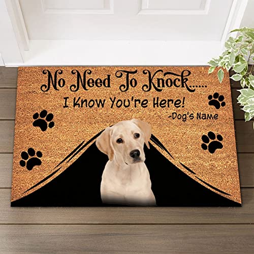 No Need to Knock I Know You're here! Labrador Retriever Kokosfasermatte, strapazierfähig, für Hunde, Gesicht, Foto, natürliche Kokosfaser-Matte für Eingang, Veranda, Dekor, Braun, 40,6 x 61 cm von UanMere
