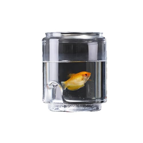 Miniatur-Landschaft, transparenter Kunststoff, bruchsicher, multifunktional, langlebig, ökologisches Aquarium Miniatur-Landschaft, transparenter Kunststoff, bruchsicher, multifunktional, langlebig, ökologisches Aquarium von Uclac