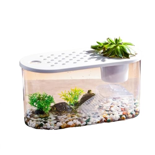 Transparente Mikro-Landschaft, ökologische Fischschildkröte, Aquarium, Hydrokultur, Aquaponik, Pflanzgefäß, Zuchtbox, Aquarien, Tischdekoration Transparente Mikro-Landschaft, ökologische Fischschildkröte, Aquarium, Hydrokultur, Aquaponik, Pflanzgefäß, Zuchtbox, Aquarien, Tischdekoration von Uclac