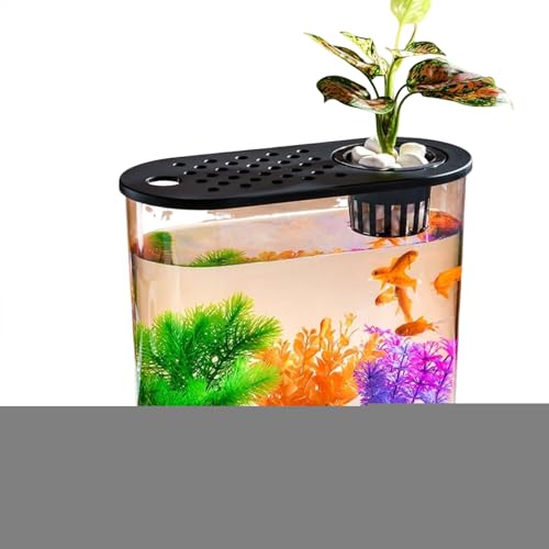Transparente Mikro-Landschaft, ökologische Fischschildkröte, Aquarium, Hydrokultur, Aquaponik, Pflanzgefäß, Zuchtbox, Aquarien, Tischdekoration Transparente Mikro-Landschaft, ökologische Fischschildkröte, Aquarium, Hydrokultur, Aquaponik, Pflanzgefäß, Zuchtbox, Aquarien, Tischdekoration von Uclac