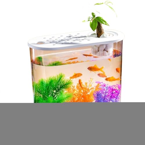 Transparente Mikro-Landschaft, ökologische Fischschildkröte, Aquarium, Hydrokultur, Aquaponik, Pflanzgefäß, Zuchtbox, Aquarien, Tischdekoration Transparente Mikro-Landschaft, ökologische Fischschildkröte, Aquarium, Hydrokultur, Aquaponik, Pflanzgefäß, Zuchtbox, Aquarien, Tischdekoration von Uclac
