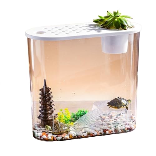 Transparente Mikro-Landschaft, ökologische Fischschildkröte, Aquarium, Hydrokultur, Aquaponik, Pflanzgefäß, Zuchtbox, Aquarien, Tischdekoration Transparente Mikro-Landschaft, ökologische Fischschildkröte, Aquarium, Hydrokultur, Aquaponik, Pflanzgefäß, Zuchtbox, Aquarien, Tischdekoration von Uclac