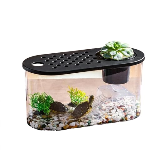 Transparente Mikro-Landschaft, ökologische Fischschildkröte, Aquarium, Hydrokultur, Aquaponik, Pflanzgefäß, Zuchtbox, Aquarien, Tischdekoration Transparente Mikro-Landschaft, ökologische Fischschildkröte, Aquarium, Hydrokultur, Aquaponik, Pflanzgefäß, Zuchtbox, Aquarien, Tischdekoration von Uclac