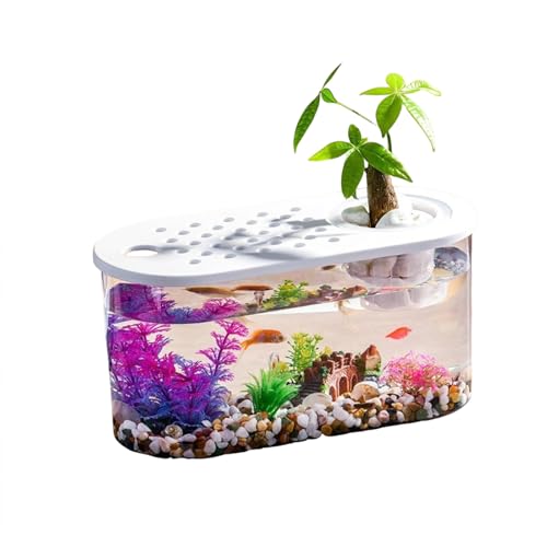 Transparente Mikro-Landschaft, ökologische Fischschildkröte, Aquarium, Hydrokultur, Aquaponik, Pflanzgefäß, Zuchtbox, Aquarien, Tischdekoration Transparente Mikro-Landschaft, ökologische Fischschildkröte, Aquarium, Hydrokultur, Aquaponik, Pflanzgefäß, Zuchtbox, Aquarien, Tischdekoration von Uclac