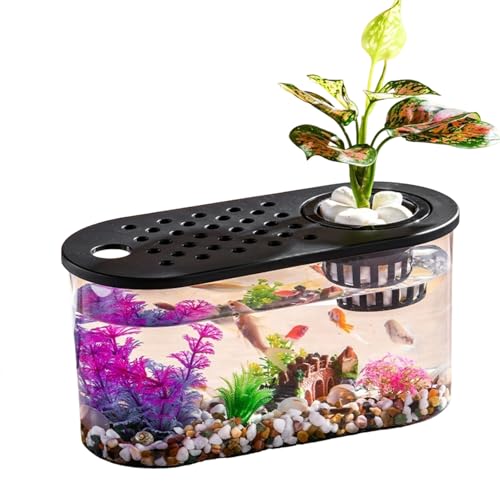 Transparente Mikro-Landschaft, ökologische Fischschildkröte, Aquarium, Hydrokultur, Aquaponik, Pflanzgefäß, Zuchtbox, Aquarien, Tischdekoration Transparente Mikro-Landschaft, ökologische Fischschildkröte, Aquarium, Hydrokultur, Aquaponik, Pflanzgefäß, Zuchtbox, Aquarien, Tischdekoration von Uclac