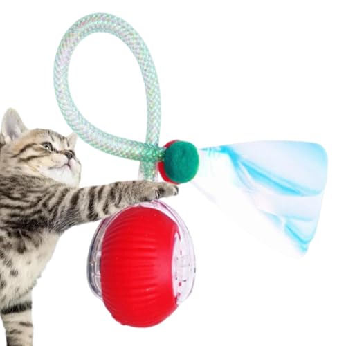 Interaktives Katzenballspielzeug, elektrisches automatisches Spielzeug für Hauskatzen,elektrischer Katzenspielzeugball mit elastischem Netzschwanz, rollender Ball,wiederaufladbares USB-Katzenspielzeug Interaktives Katzenballspielzeug, elektrisches automatisches Spielzeug für Hauskatzen,elektrischer Katzenspielzeugball mit elastischem Netzschwanz, rollender Ball,wiederaufladbares USB-Katzenspielzeug von Uhngw