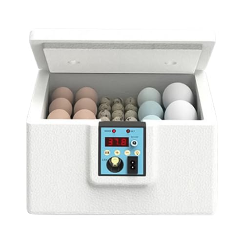 Uhngw Brutapparate Für Hühner Eier Ausbrüten - Wachtel Brutbox Mit Schierlampe - Geflügelzucht Heimbrut Box Für Wachteln Hühner Uhngw Brutapparate Für Hühner Eier Ausbrüten - Wachtel Brutbox Mit Schierlampe - Geflügelzucht Heimbrut Box Für Wachteln Hühner von Uhngw