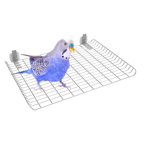 Uhngw Käfig Sitzstangen Für Vögel - Edelstahl-Ständer Für Ziervögel,Klein Mittel Groß Haustiere Indoor Spielplatz Für Bewegung Und Spiel Für Wellensittiche, Kanarienvögel Und Nymphensittiche Uhngw Käfig Sitzstangen Für Vögel - Edelstahl-Ständer Für Ziervögel,Klein Mittel Groß Haustiere Indoor Spielplatz Für Bewegung Und Spiel Für Wellensittiche, Kanarienvögel Und Nymphensittiche von Uhngw