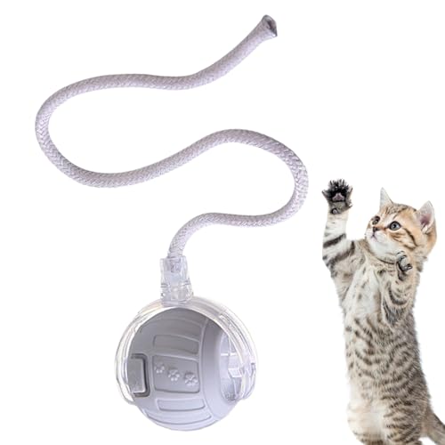 Uhngw Katzenball, automatisches Rollspielzeug für Indoor-Katzen, leiser elektrischer Ball mit Schwanzseil für Langeweile, Indoor-Training, Jagdsimulation Uhngw Katzenball, automatisches Rollspielzeug für Indoor-Katzen, leiser elektrischer Ball mit Schwanzseil für Langeweile, Indoor-Training, Jagdsimulation von Uhngw