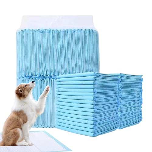 Uhngw Wee Wee Pads für Hunde,Puppy Pee Pads | Große Hunde-PIPI-Pads | Super saugfähige Haustierwindel, verdickte Windeleinlagen für Katzen und Hunde, schnell trocknende Oberflächenmatte, Uhngw Wee Wee Pads für Hunde,Puppy Pee Pads | Große Hunde-PIPI-Pads | Super saugfähige Haustierwindel, verdickte Windeleinlagen für Katzen und Hunde, schnell trocknende Oberflächenmatte, von Uhngw