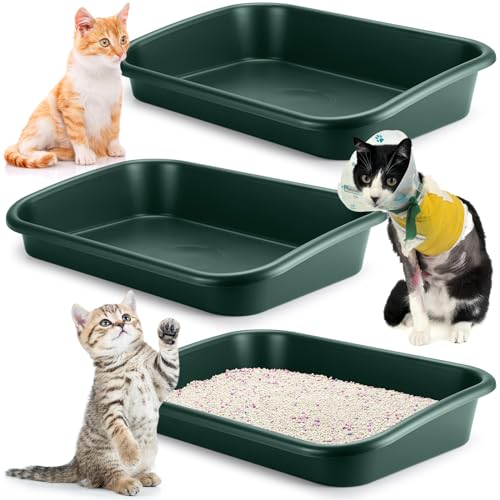 Uiifan Katzentoilette für ältere Katzen, niedriger Eingang, offene Oberseite, für ältere Katzen, leicht zu reinigen, Dunkelgrün, 3 Stück Uiifan Katzentoilette für ältere Katzen, niedriger Eingang, offene Oberseite, für ältere Katzen, leicht zu reinigen, Dunkelgrün, 3 Stück von Uiifan