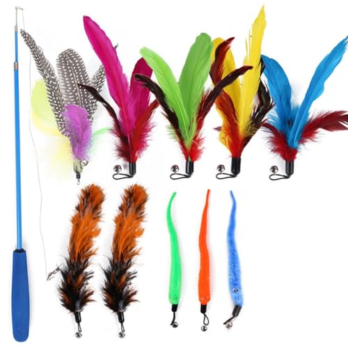 Ujjdwiurgh 11-In-1-Ersatzkopf, Einziehbarer Katzen-Teaser-Stick, Katzen-Zauberstab-Spielzeug, Katzen-Teaser-Stick-Set, Passend für Katzen-Kätzchen, die Spaß Am Übungsspiel Haben Ujjdwiurgh 11-In-1-Ersatzkopf, Einziehbarer Katzen-Teaser-Stick, Katzen-Zauberstab-Spielzeug, Katzen-Teaser-Stick-Set, Passend für Katzen-Kätzchen, die Spaß Am Übungsspiel Haben von Ujjdwiurgh