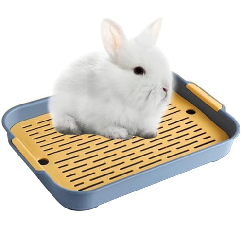 Ulawellor Kaninchen Toilette Tablett Hasentoilette Katzentoilette Hamster Toilette,Kunststoff Gitterrost Kaninchentoilette für Kleintier Chinchilla Hamster Hasen Meerschweinchen (Blau, L) von Ulawellor