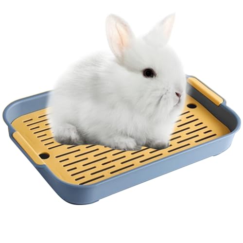Kaninchen Toilette Tablett Hasentoilette Katzentoilette Hamster Toilette,Kunststoff Gitterrost Kaninchentoilette für Kleintier Chinchilla Hamster Hasen Meerschweinchen (Blau, S) von Ulawellor