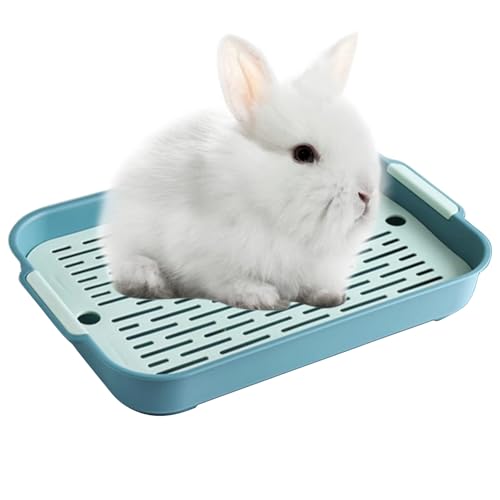 Kaninchen Toilette Tablett Hasentoilette Katzentoilette Hamster Toilette,Kunststoff Gitterrost Kaninchentoilette für Kleintier Chinchilla Hamster Hasen Meerschweinchen (Grün, S) von Ulawellor
