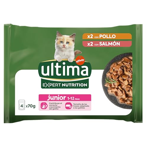 Ultima Expert Nutrition Nassfutter für Kätzchen, Junior, 1 bis 12 Monate, 11 x Packung (4 x 70 g) von Ultima
