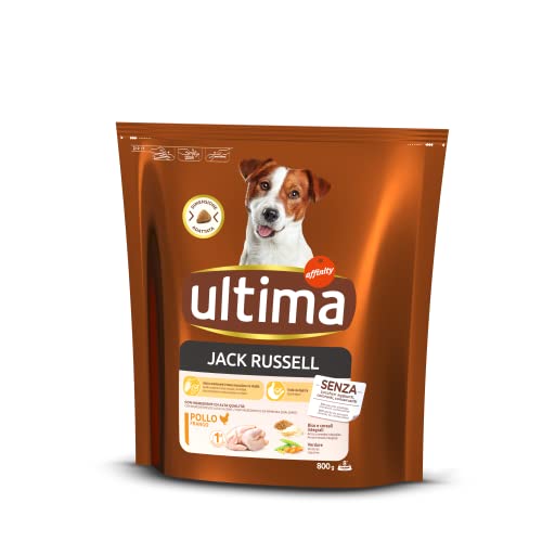Ultima Hundefutter Mini Jack Russell mit Huhn, 800 g Ultima Hundefutter Mini Jack Russell mit Huhn, 800 g von Ultima