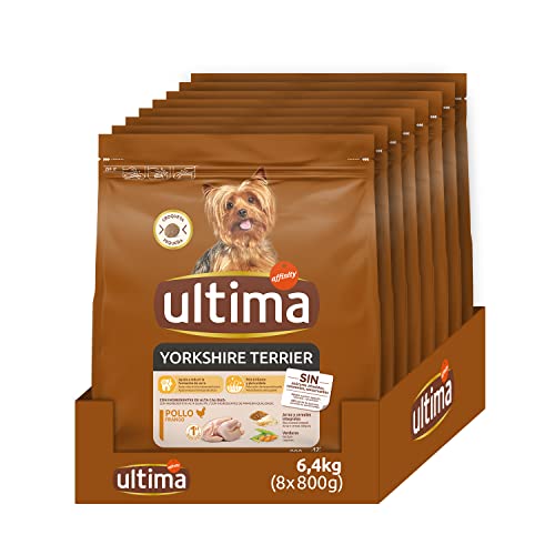 Ultima Kleine Yorkshire Terrier Huhn – Hundefutter – Packung mit 8 x 800 g – insgesamt 6,4 kg von Ultima