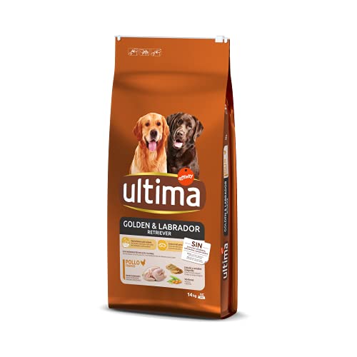 Ultima Medium-Maxi Golden & Labrador Huhn Trockenfutter für Hunde, 14 kg von Ultima