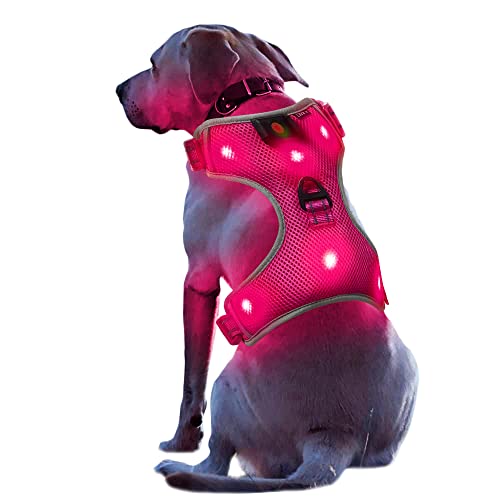 Groß Rosa Wiederaufladbare USB LED Hundegeschirr Beleuchtetes Hundegeschirr Leuchtend Aufladbar Licht Hunde Weste LED Hund Geschirr LED Hundegeschirr Sicherheitsgeschirr Hund LED Hunde Zubehör von UltraByEasyPeasyStore