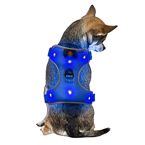 Klein Blau Wiederaufladbare USB LED Hundegeschirr Beleuchtetes Hundegeschirr Leuchtend Aufladbar Licht Hunde Weste LED Hund Geschirr LED Hundegeschirr Sicherheitsgeschirr Hund LED Hunde Zubehör von UltraByEasyPeasyStore