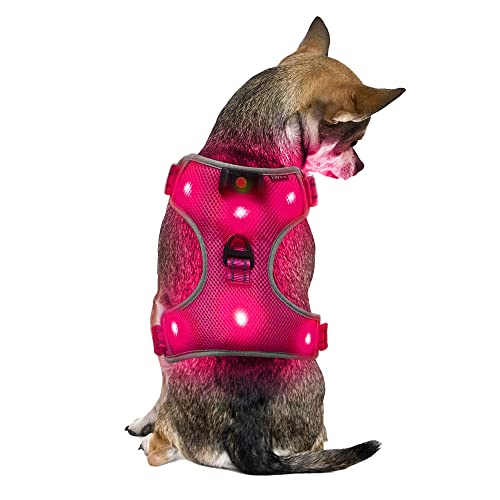 Klein Rosa Wiederaufladbare USB LED Hundegeschirr Beleuchtetes Hundegeschirr Leuchtend Aufladbar Licht Hunde Weste LED Hund Geschirr LED Hundegeschirr Sicherheitsgeschirr Hund LED Hunde Zubehör von UltraByEasyPeasyStore