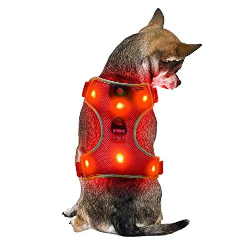 Klein Rot Wiederaufladbare USB LED Hundegeschirr Beleuchtetes Hundegeschirr Leuchtend Aufladbar Licht Hunde Weste LED Hund Geschirr LED Hundegeschirr Sicherheitsgeschirr Hund LED Hunde Zubehör von UltraByEasyPeasyStore