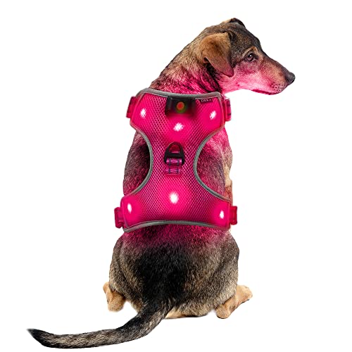 Mittel Rosa Wiederaufladbare USB LED Hundegeschirr Beleuchtetes Hundegeschirr Leuchtend Aufladbar Licht Hunde Weste LED Hund Geschirr LED Hundegeschirr Sicherheitsgeschirr Hund LED Hunde Zubehör von UltraByEasyPeasyStore