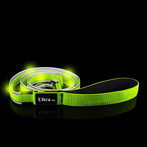 Ultra Grüne LED-Hundeleine Leuchtendes LED-Licht Blinkend, LED-Nachtlicht Sicherheitsleine Wasserdicht USB Wiederaufladbar 120 cm Reflektierend Hohe Sichtbarkeit Nylon von UltraByEasyPeasyStore