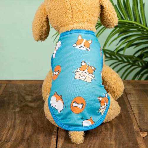 Hundekleidung für den Sommer für kleine Hunde und Katzen, schöne Haustierkleidung für Welpen von Umaxa