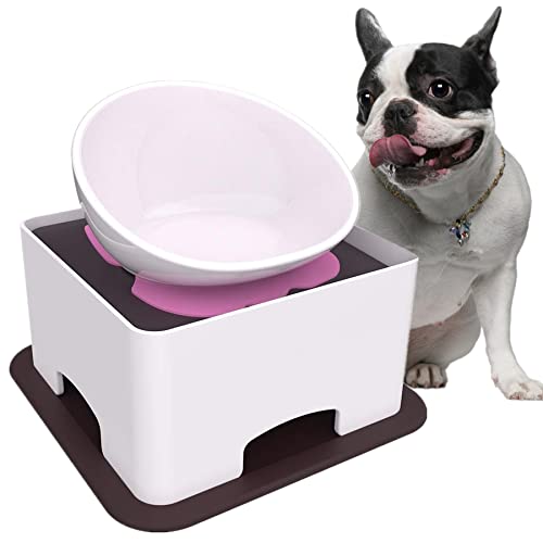 Umisun Keramik-Bulldoggen-Futternapf für Hunde – Hundenapf mit breiter Öffnung, steril, geneigt, mit rutschfester Gummimatte für kleine, mittelgroße Hunde (weiß) von Umisun