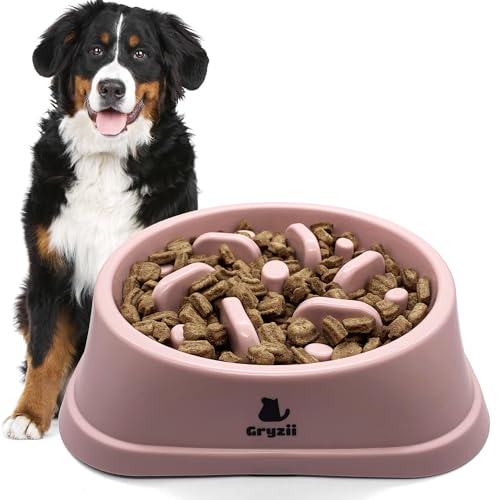 Anti-Glouton Fressnapf für Hunde | Langsames und gesundes Essen, fördert die Verdauung des Tieres, Anti-Erbrechen, Design mit rutschfesten Füßen, für Haustiere (groß, rosa) von Unbekannt