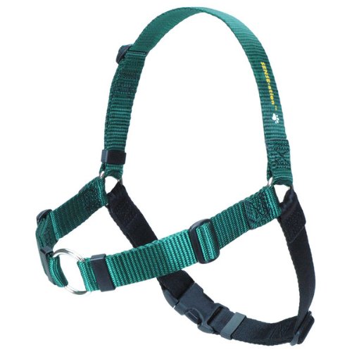 Die original Sense-ation verhindert Zerren Dog Training Geschirr, Medium, grün Die original Sense-ation verhindert Zerren Dog Training Geschirr, Medium, grün von Unbekannt