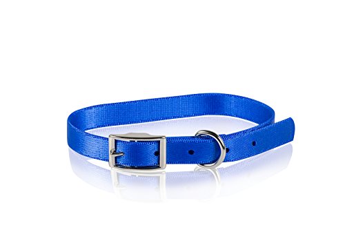 Farm Company Nylon-Schnallenhalsband, 25 mm x 60 cm, Blau von Unbekannt
