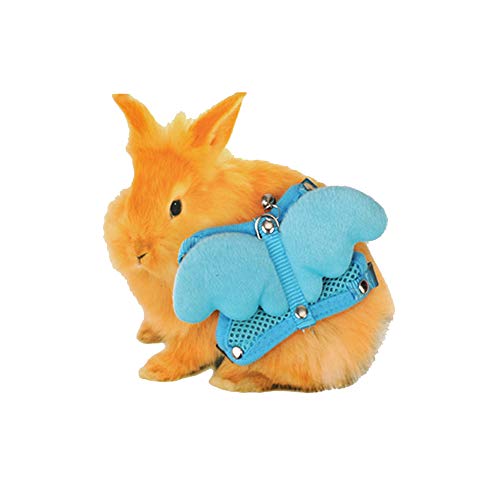 Générique Brustgurt für Haustiere, Zugseil niedlich, Engelsflügel, Brustgurt, Kostüm für kleine Hunde, Katzen, Kaninchen, Blau Générique Brustgurt für Haustiere, Zugseil niedlich, Engelsflügel, Brustgurt, Kostüm für kleine Hunde, Katzen, Kaninchen, Blau von Unbekannt