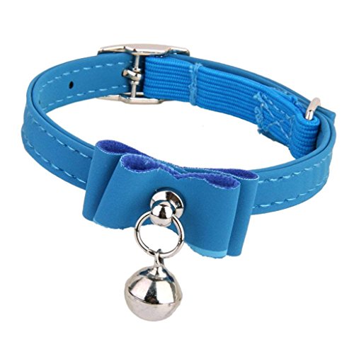Générique Halsband für Hunde, Glocke, Bowknot, Kätzchen, Welpen, Katzenhalsband, mit Versteller, Schnallentyp, Halsband, Blau, ausgezeichnet und Générique Halsband für Hunde, Glocke, Bowknot, Kätzchen, Welpen, Katzenhalsband, mit Versteller, Schnallentyp, Halsband, Blau, ausgezeichnet und von Unbekannt