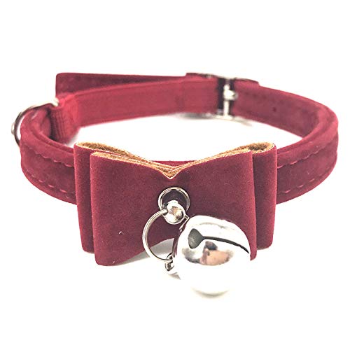 Générique Halsband für Hunde / Katzen, Welpen, mit verstellbarem Verschluss, Halsband, Rot Générique Halsband für Hunde / Katzen, Welpen, mit verstellbarem Verschluss, Halsband, Rot von Unbekannt