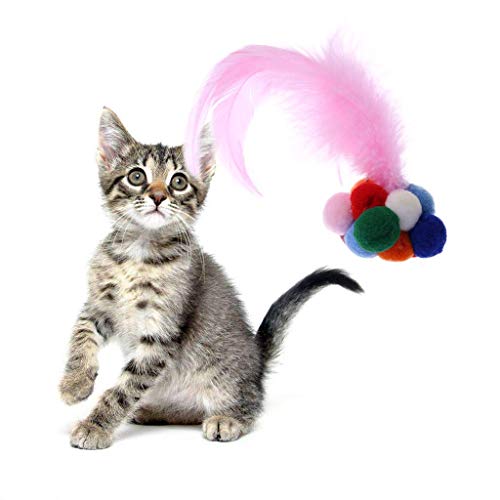 Générique Katzenspielzeug, buntes interaktives Spielzeug mit Glöckchen, handgefertigt, kreativ und nützlich Générique Katzenspielzeug, buntes interaktives Spielzeug mit Glöckchen, handgefertigt, kreativ und nützlich von Unbekannt