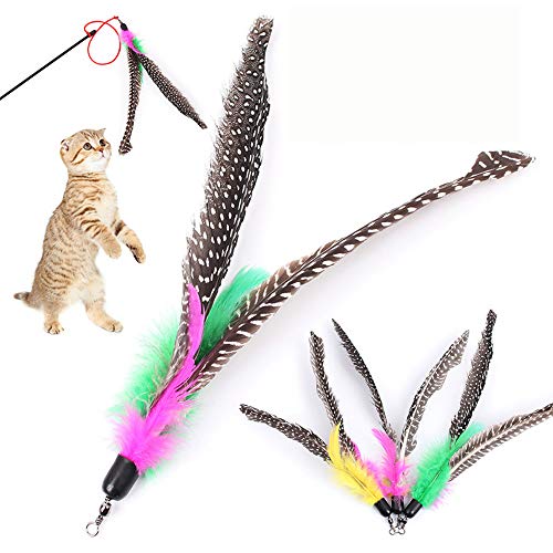 Générique Nachfüllpackung für Katzenspielzeug, interaktives Katzenspielzeug, Nachfüllpackung für Stick, lustiges Spielzeug, für Katzen und Générique Nachfüllpackung für Katzenspielzeug, interaktives Katzenspielzeug, Nachfüllpackung für Stick, lustiges Spielzeug, für Katzen und von Unbekannt