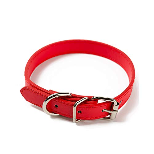 Halsband für Haustiere, Basic Classic Leder, gepolstert, Halsbänder für Haustiere, verstellbares Halsband für Hunde, Katzen, Rot, robust und wirtschaftlich von Unbekannt