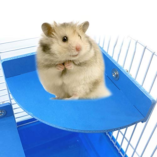 Halterung für Papageien, Danimal, Familier, Plattform, Hamster, Spielzeug, Ratte, Eichhörnchen, Käfig, hängend, Sprungtuch, hochwertig, Halterung für Papageien, Danimal, Familier, Plattform, Hamster, Spielzeug, Ratte, Eichhörnchen, Käfig, hängend, Sprungtuch, hochwertig, von Unbekannt